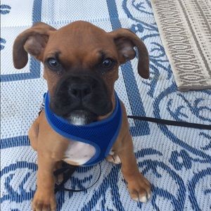 Meet your Posher, Kim